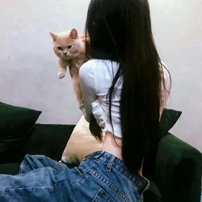 追凶记